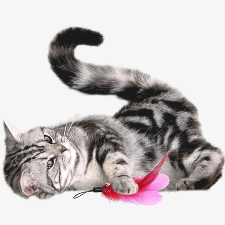 huanhuang® Telescopic Cat Teasing Interactive Stick Feather Wand with Bell Pet Supplies