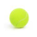 1 Pcs Tennis Balls High Bounce Practice Training Outdoor Elasticity Durable Tennis for Dogs Bite Chase and Chomp 6.3CM Dog Ball. 