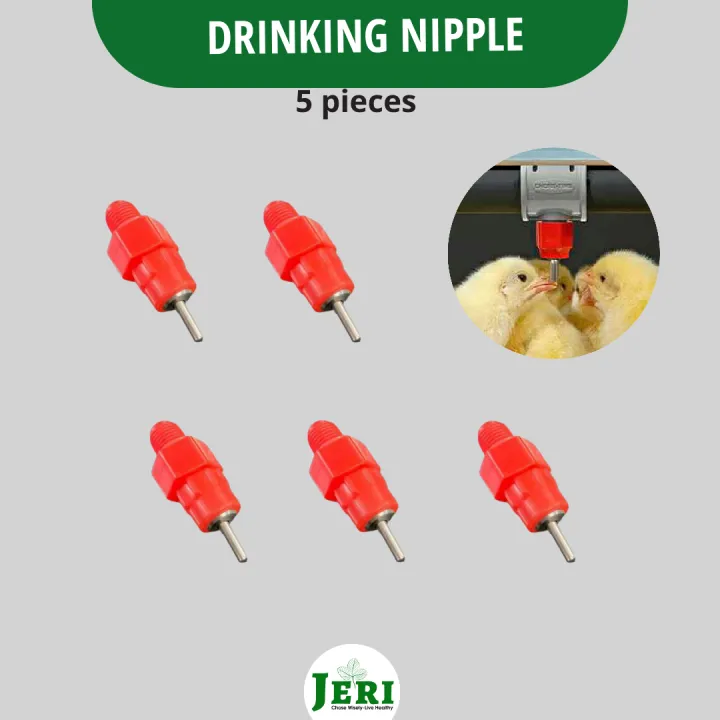 Chicken Drinker/Quail Drinker/Poultry Drinker/Drinking Nipple/Chicken Drinker