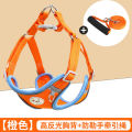 Pomeranian Teddy Walking Dog Dog Rope Cat Dog Chain Puppy Hand Holding Rope Small Dog Vest Clothes Explosion-Proof. 