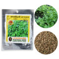 Asamodagam Seeds අසමෝදගම් බීජ Trachyspermum roxburghianum 1g. 