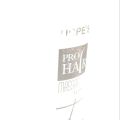 Hopes Pro Hair Massage Tonic Hair Tonic for Men Hopes for Men 350ml. 