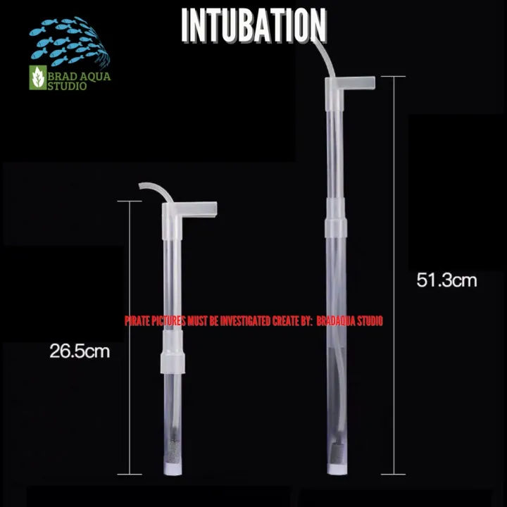 AQUARIUM%20Under%20Gravel%20Filter%20Intubation/%20Plate/%20Intubation%20Plate%20-%20Image%202