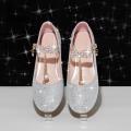 Princess Shoes for Girls Spring and Autumn Children's High Heel Shoes Stage Show Piano Silver Dress Flower Girl Crystal Leather Shoes. 
