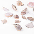 15 Styles 2pcs Natural Shell Pendant Conch Shell Charms Pendant Natural At Random For DIY Jewelry Necklaces Making Accessories. 