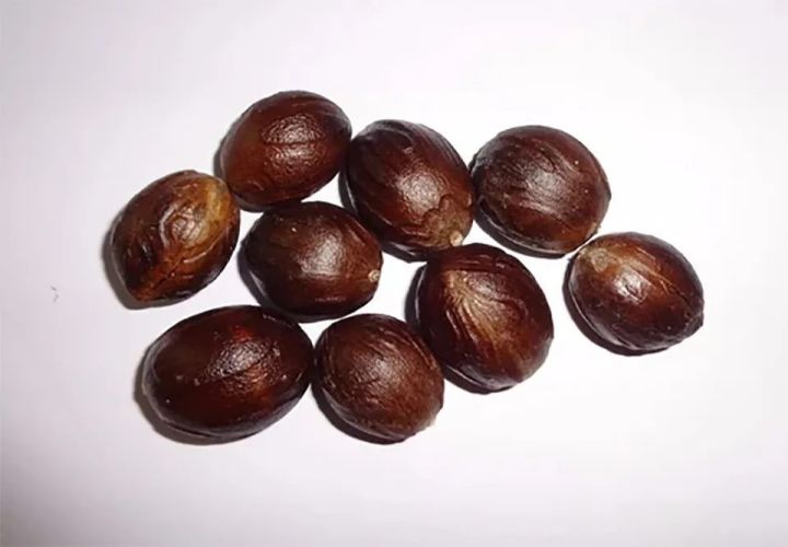 NHS%20Sadikka%20Nutmeg%2025g%20-%20100g%20%20%20/%20%E0%AE%9A%E0%AE%BE%E0%AE%A4%E0%AE%BF%E0%AE%95%E0%AF%8D%E0%AE%95%E0%AE%BE%20/%E0%B7%83%E0%B7%8F%E0%B6%AF%E0%B7%92%E0%B6%9A%E0%B7%8A%E0%B6%9A%20-%20Image%202