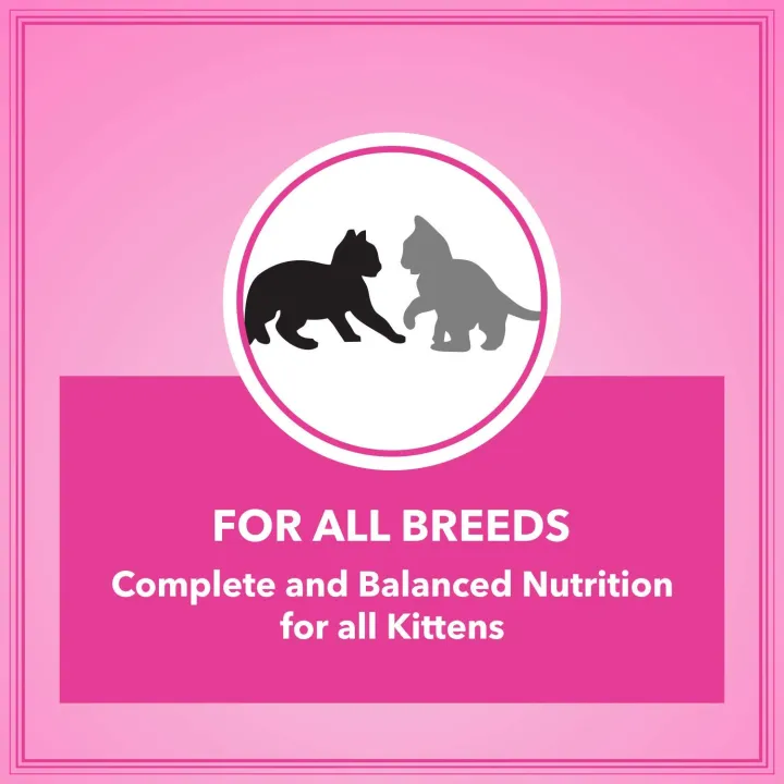 Let's%20Bite%20Active%20Kitten%20Dry%20Cat%20Food%20(400g%20X%202%20PACKS)%20Lets%20Bite%20Cat%20Food%20Made%20with%20Sardine,%20Egg%20&%20Mackerel%20-%20Image%204