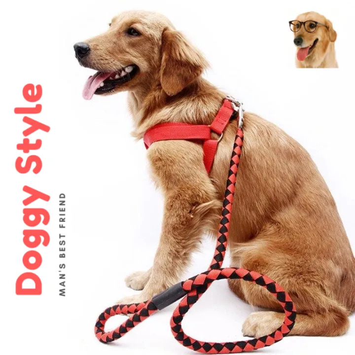 Small%20Adjustable%20Dog%20Harness%20and%20Outdoor%20Walking%20Nylon%20Dog%20Leash%20Lead%20Pets%20Dog%20Sale%20Durable%20Traction%20Training%20Rope%20Dog%20Belt%20Dog%20Chain%20Dog%20Body%20Belt%20Chest%20Belt%20Step-in%20Harness%20Strap%20Stainless%20Steel%20Metal%20Buckle%20Plastic%20Clasp%20Dog%20Collar%20Dog%20Strap%20Dogs%20Belt%20-%20Image%209