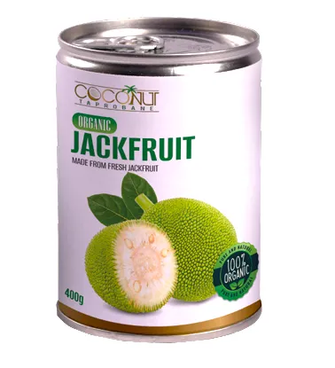 Coconut Taprobane organic jackfruit | 100% healthy | 100g