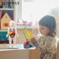 Diy Human Organ Model Interactive Human Body Model Kit Educational Diy Toy with 11 Analysis Cards Ideal for Students Accessories Included Science Learning Toys for Kids. 