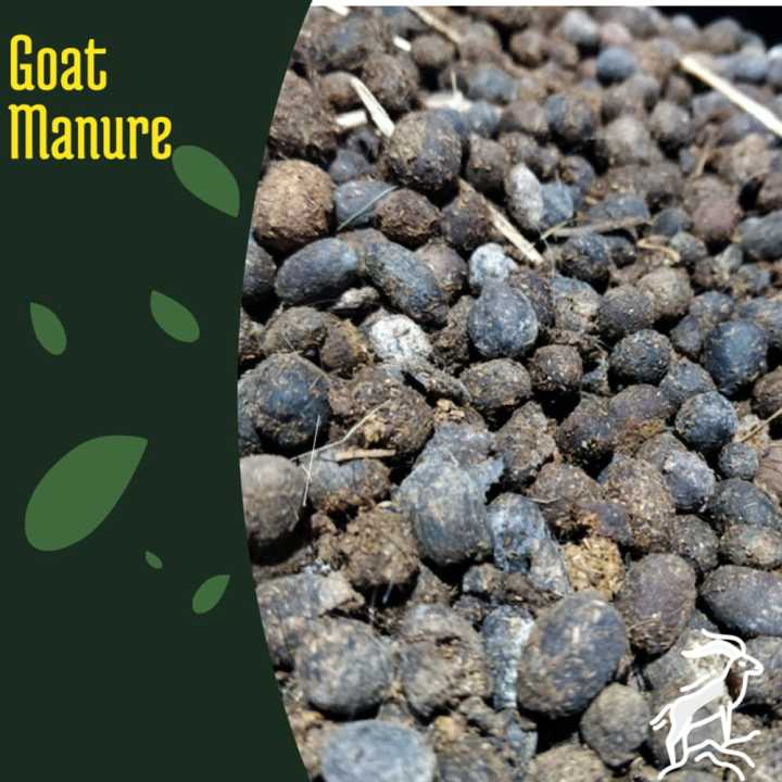 Goat Manure Fertilizer Organic /Agriculture/Fertilizer-3Kg