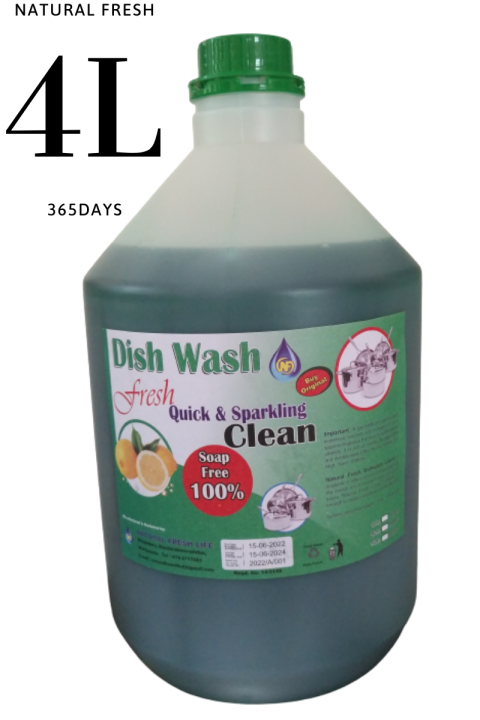 Fast Go Natural Fresh Dishwashing Liquid | Dish Soap | Hand Dish Washing Detergent | 4L Booster Foaming Gel | More Dish Less Liquid