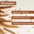 Good Vibes Wheatgerm Nourishing Night Cream, 100 g Deep Moisturization, Healing Formula For Dry Skin, Helps Reduce Acne, Wrinkles & Fine Lines, Natural, No Parabens & Sulphates, No Animal TestingFROM INDIA)NUSS. 