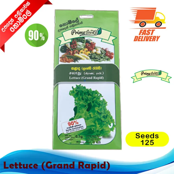 Salad%20Leaves%20Seeds%20Lettuce%20Gardening%20Agriculture%20Home%20seed%20Vegetable%2090%25%20Germination%20-%20Image%203