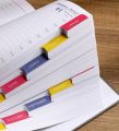 2025 Edition Planner High Quality PU Cover One Page Per Day Notebook A5 Size 365 Days Agenda for Work Office Professional. 
