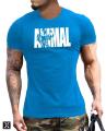 Men's GYM body-fit T-shirt. 