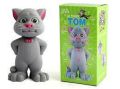 Talking Tom with AI Touch Sensitive Intelligent and Recording talk back toy for Kids. 