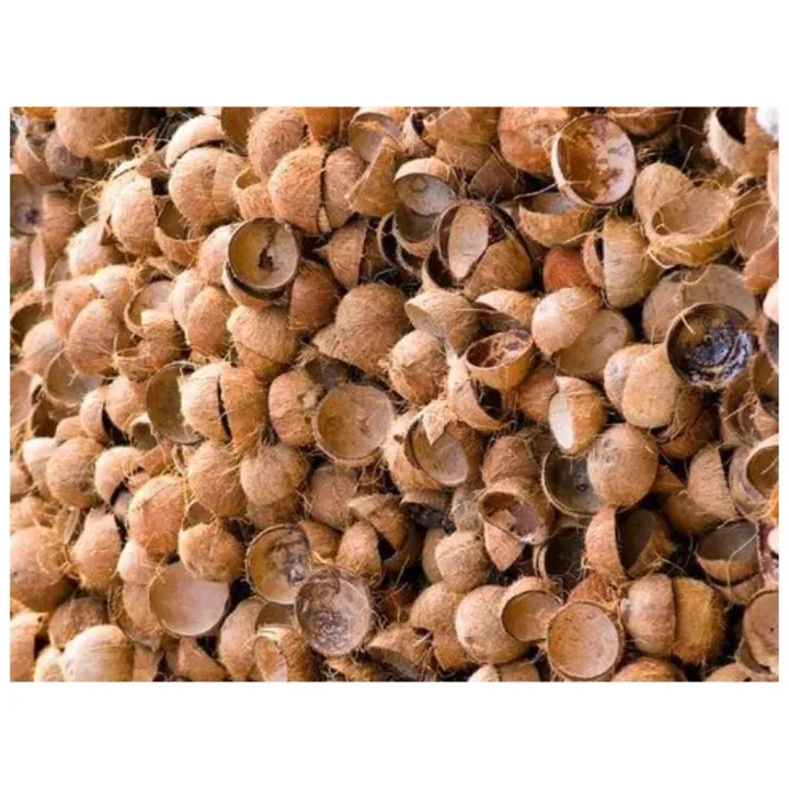 COCONUT%20SHELL%20CHIPS1%20kg,1%20Kg%20Raw%20type%20Natural%20Coconut%20shell%20chips%20for%20activated%20charcoal,%20cooking%20and%20orchids%20-%20Image%204