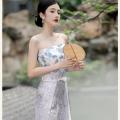 Song-Made Changgan Outer Beizi Long-Spinning Skirt Tube Top Suit Daily Hanfu Women's National Style Fairy Ancient Style Improved Jacket and Dress. 