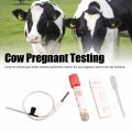 Cow Pregnancy Test Kit Complete Tools High Sensitivity Fast Accurate Early Pregnancy Diagnosis Tool. 
