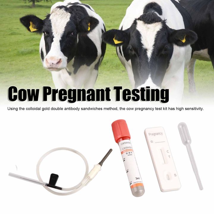 Cow%20Pregnancy%20Test%20Kit%20Complete%20Tools%20High%20Sensitivity%20Fast%20Accurate%20Early%20Pregnancy%20Diagnosis%20Tool%20-%20Image%204