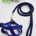 Small Adjustable Dog Harness and Outdoor Walking Nylon Dog Leash Lead Pets Dog Sale Durable Traction Training Rope Dog Belt Dog Chain Dog Body Belt Chest Belt Step-in Harness Strap Stainless Steel Metal Buckle Plastic Clasp Dog Collar Dog Strap Dogs Belt. 