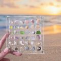 【Best value】 New Transparent Magnetic Seashell Display Box Mini Plastic Seashell Storage Box Large-capacity 36/64/100 Grids Seashell Collection Case. 
