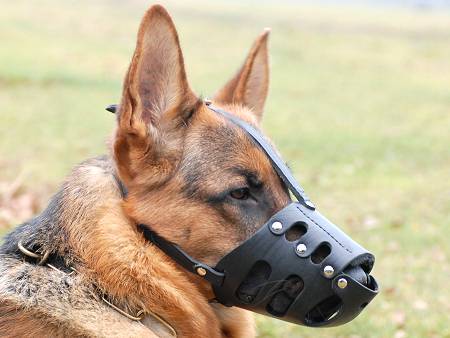Extra Large Dog Muzzle Heavy Duty Natural Leather Bite Proof Gentle Breathable Buckle Neck Strap Adjustable Pet Dogs Muzzles Anti Bite Mouth Prevent Biting Chewing Barking