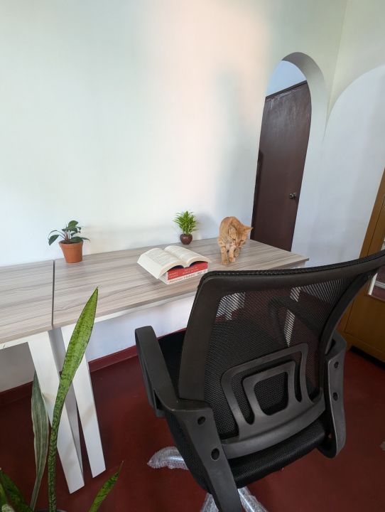 Executive%20Medium%20Back%20Home%20Office%20Chair%20Mesh%20Swivel%20360%C2%B0%20Black%20-%20Image%204