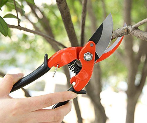Pro-Forged%20Pruner%20-%20By-Pass%20Style%20With%20Replaceable%20Blade%20-%20Cuts%20Up%20To%209"%20Hand%20Pruning%20Shears%20Garden%20Cutting%20Secateurs%20Lopping%20-%20Image%202