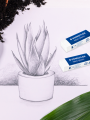 【Folio & Light】5pcs Staedtler Mars Plastic Eraser Professional Quality White Block Erasers For Sketch Phthalate And Latex Free 526 50/526 53. 
