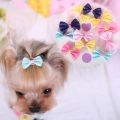 【wholesle668 Store】20PCS pet Bows Dog Hair for Puppy Yorkshirk Small Hair Accessories Grooming Bows Rubber Bands Dog Bows Pet. 