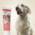 Beaphar Salmon Oil Paste Dog - 100g. 