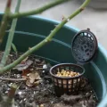 【ZOSR】10/20/30/40/50Pcs Plastic Fertilizer Basket with Lid Corrosion-Resistant Garden Fertilizer Container Mesh Box for Succulent Bonsai Orchid. 