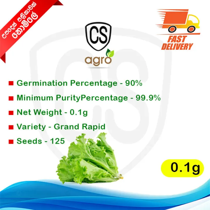 Salad%20Leaves%20Seeds%20Lettuce%20Gardening%20Agriculture%20Home%20seed%20Vegetable%2090%25%20Germination%20-%20Image%204