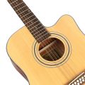 Deviser 12 String Semi Acoustic Guitars. 