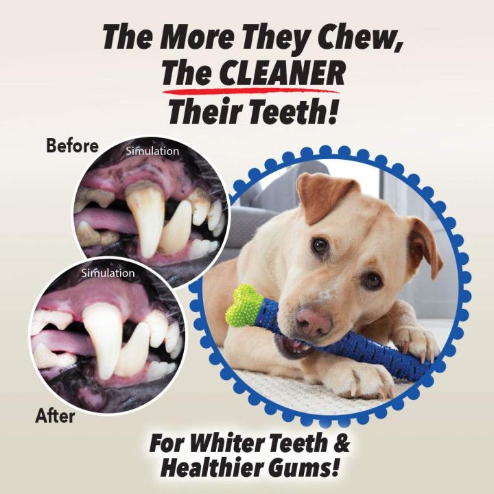 BulbHead Chew brush™ Dog Teeth Cleaning cbgd DENTAL Tooth