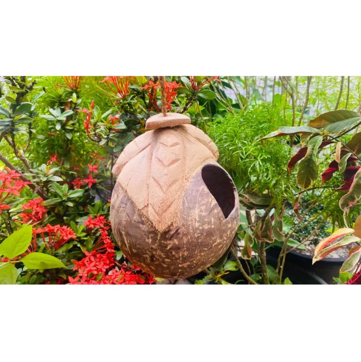 Coconut%20Husk%20LOVE%20BIRD%20Nest%20ARCH%20Door%20Weaver%20Bird%20(%E0%B7%80%E0%B7%93%20%E0%B6%9A%E0%B7%94%E0%B6%BB%E0%B7%94%E0%B6%BD%E0%B7%8A%E0%B6%BD%E0%B7%8F)%20Nest%20Paddy%20Bird%20Nest%20%20Squirrel%20(%E0%B6%BD%E0%B7%9A%E0%B6%B1%E0%B7%8F)%20cage%20Coconut%20Shell%20Natural%20Bird%20House%20Outdoor%20coco%20cage%20Pol%20Leli%20Kurulu%20Kuduwa%20Lena%20Kuduwa%20And%20can%20be%20use%20for%20Restaurants,Hotel%20decoration%20-%20Image%203