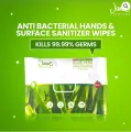 Janet Anti-Bacterial Hands & Surface Sanitizer Wipes. 