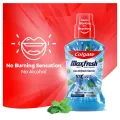Colgate Maxfresh Plax Antibacterial Mouthwash 250ml. 