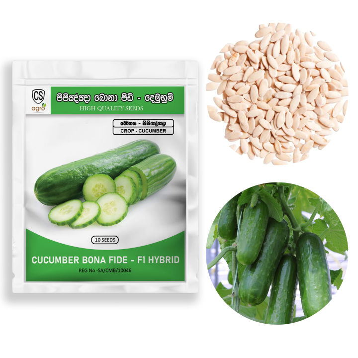 Cucumber Bona Fide F1 Hybrid 10 Seeds පිපිඤ්ඤා බීජ