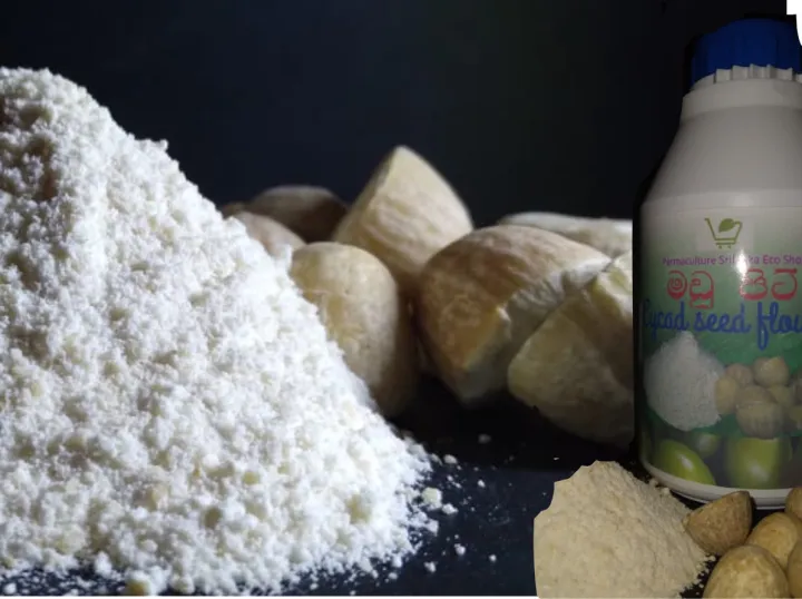 Cycad%20Seed%20Flour%20(%20%E0%B6%B8%E0%B6%A9%E0%B7%94%20%E0%B6%B4%E0%B7%92%E0%B6%A7%E0%B7%92%20)%20High%20quality%20Cycad%20seed%20%20flour%20harvested%20from%20rare%20species%20of%20Cycad%20plants%20-%20Image%205