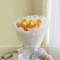 Knock Ness Romantic Bouquet Tulip Flower Ceremony Sense Gift for Friends Holding Photo Props Decoration Flowers. 
