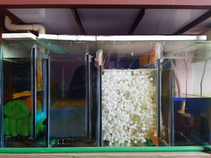 K1%20Filter%20Media%20Premium%20Grade%20Moving%20Bed%20Biofilm%20Reactor%20for%20Aquariums,%20Aquaponics,%20Aquaculture,%20Hydroponics,%20Ponds%20and%20Sump%20Filter%20Systems%20-%20Image%206