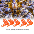 Bee Queen Cap Honey Bee Comb Push-in Queen Cell Protectors Beekeeping Queen-Bee Rearing Cage for Beekeeping Supplies. 
