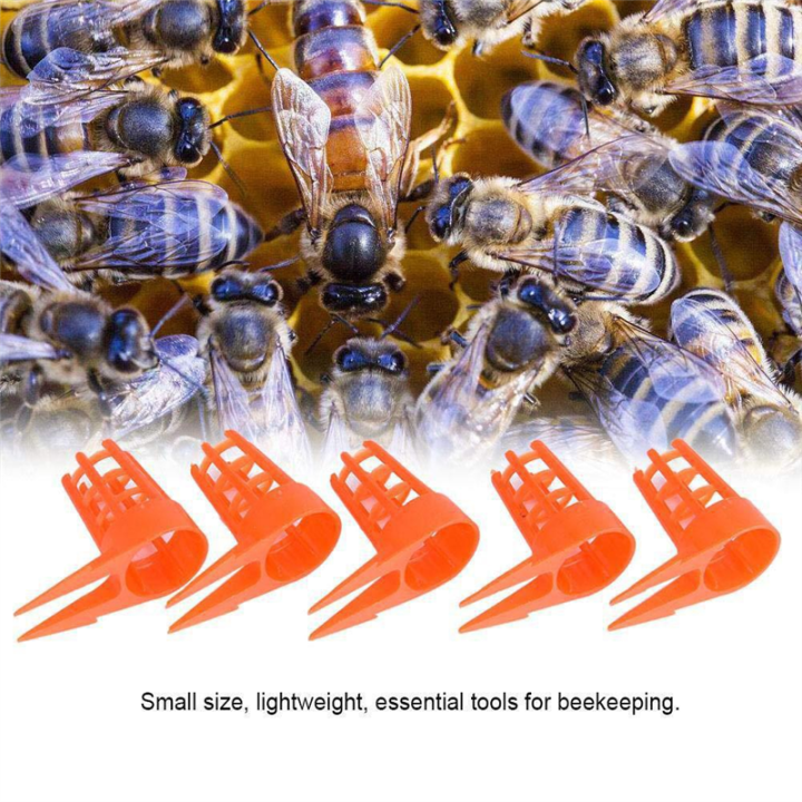 Bee%20Queen%20Cap%20Honey%20Bee%20Comb%20Push-in%20Queen%20Cell%20Protectors%20Beekeeping%20Queen-Bee%20Rearing%20Cage%20for%20Beekeeping%20Supplies%20-%20Image%208