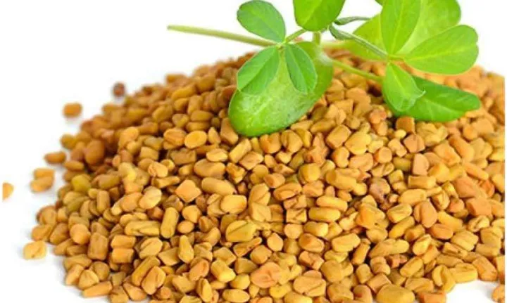 Fenugreek%20Seeds%20100g%20/%20%E0%B6%8B%E0%B6%BD%E0%B7%94%E0%B7%84%E0%B7%8F%E0%B6%BD%E0%B7%8A%20100g%20-%20Image%204