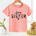 Big Brother Saurus Kids T Shirt Big Brothers Big Sisters Letter-printed Children's T-shirt Stranger Things Tops Tee Huggy Wuggy. 