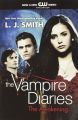 The Awakening (The Vampire Diaries, Vol. 1) (Vampire Diaries, 1). 