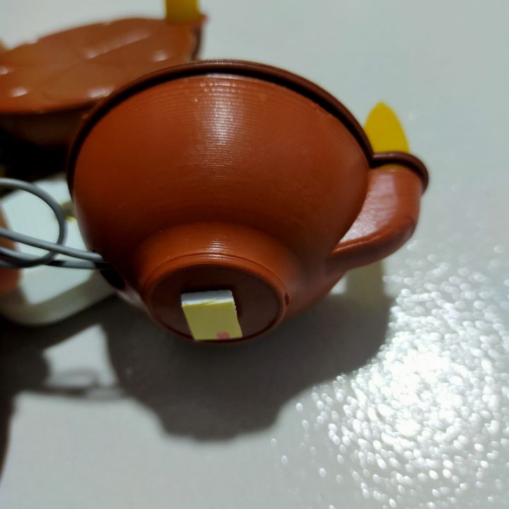 LEB%20Bulb%20sets%20for%20Vesak%20-%20Image%204